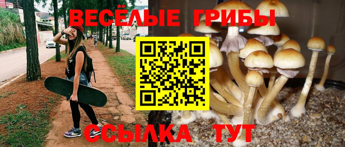 Галлюциногенные грибы мухоморы Азнакаево
