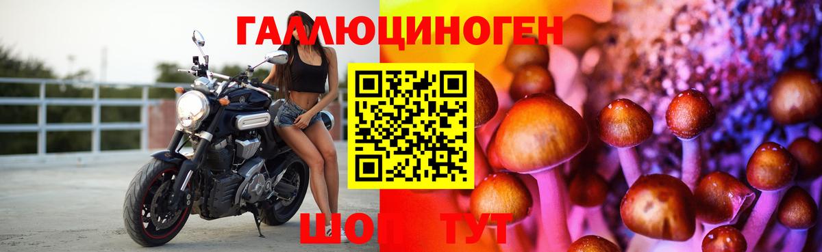 Галлюциногенные грибы Cubensis  Псилоцибиновые грибы GOLDEN TEACHER  Азнакаево  Вход с VPN 